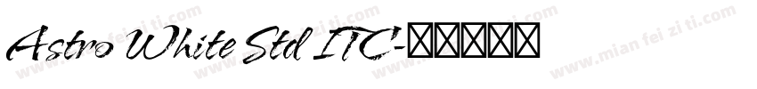 Astro White Std ITC字体转换
